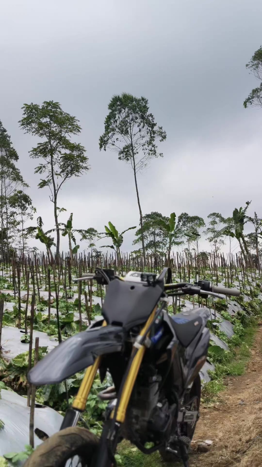 @sidiq prasetya