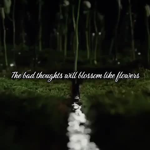 @⦻Akutagawasdying⦻