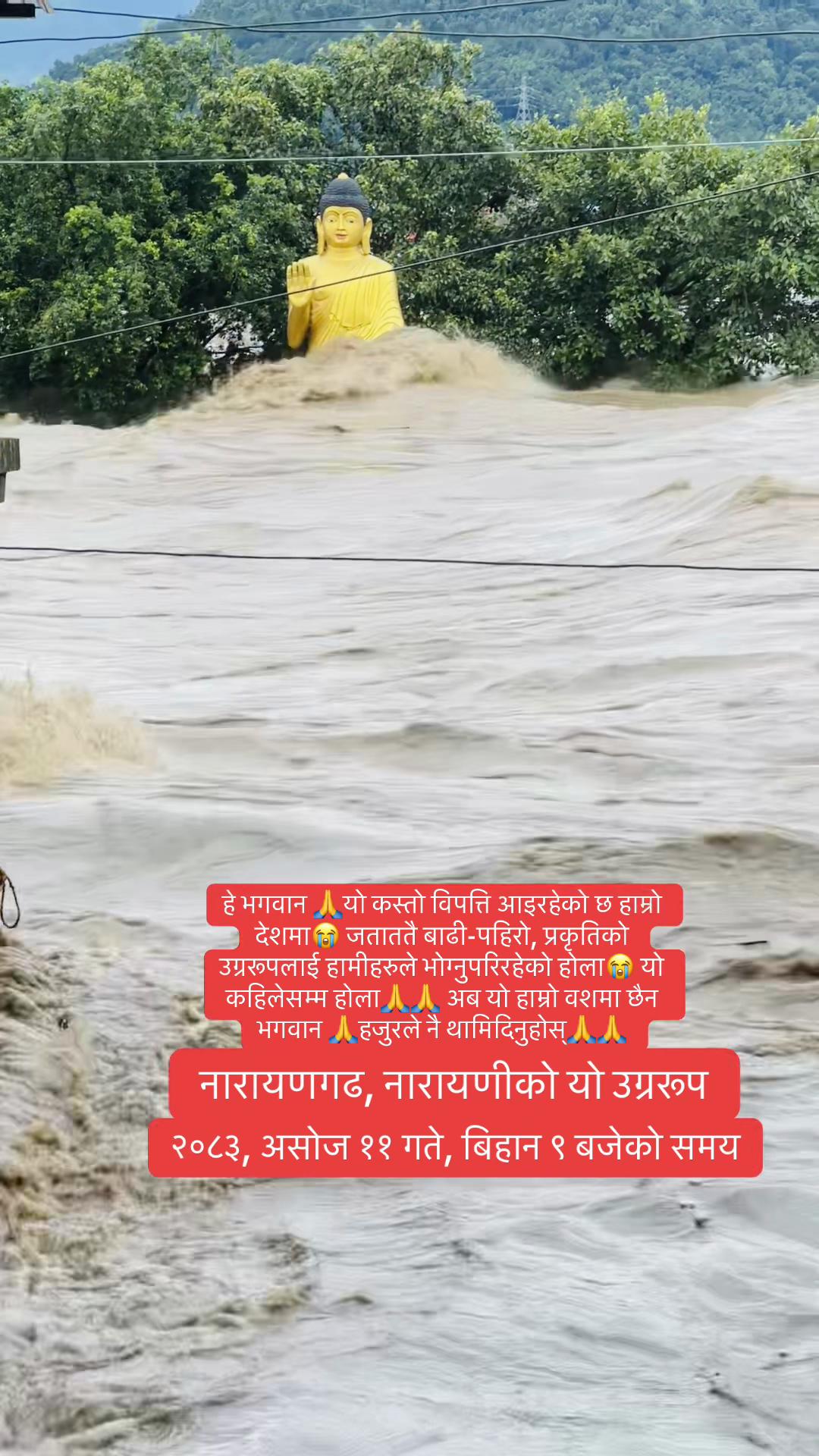 @Sumeena Joshi