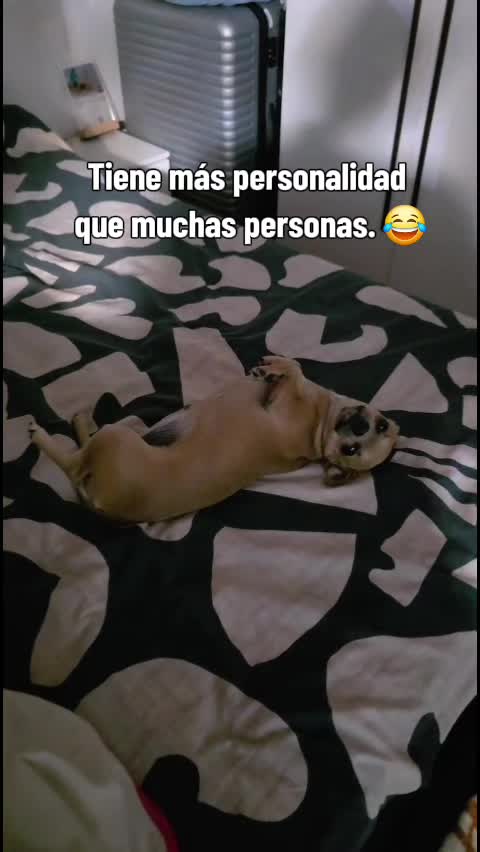 @ygaarcia_
