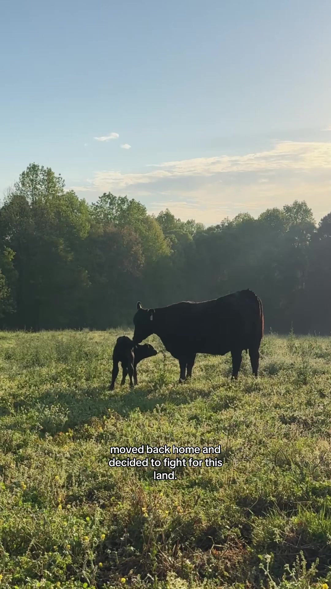 @Lily Hill Farm
