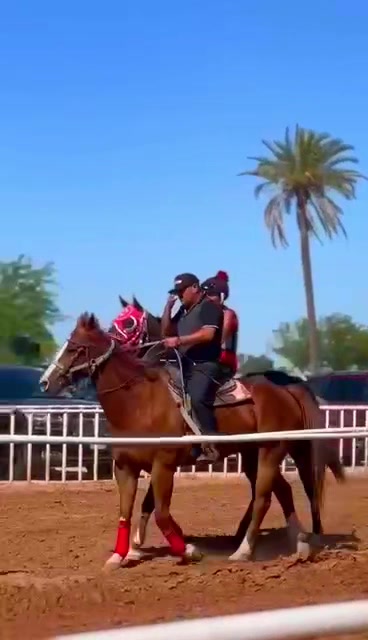@Farriershoeshorsesnicotina🏇🔨
