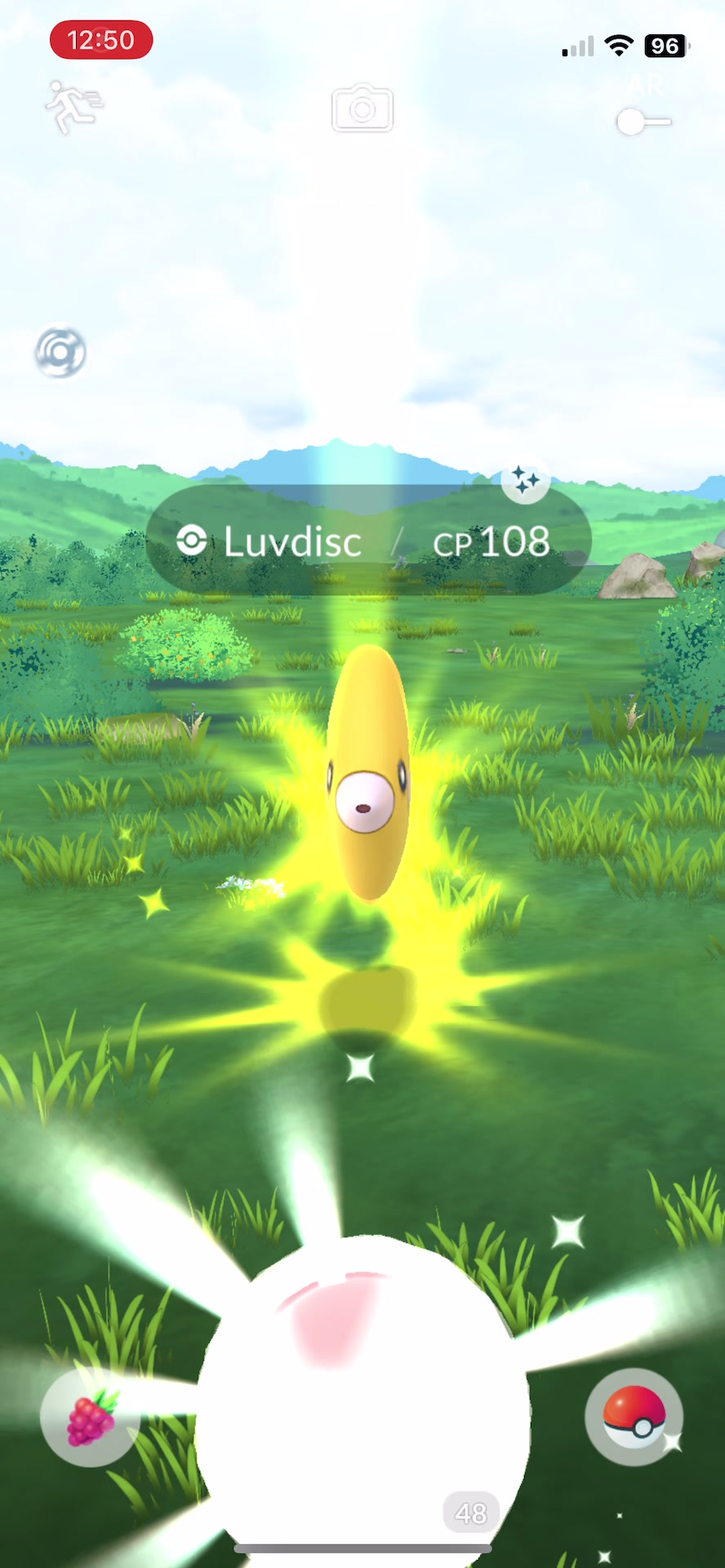 @pokebloxy
