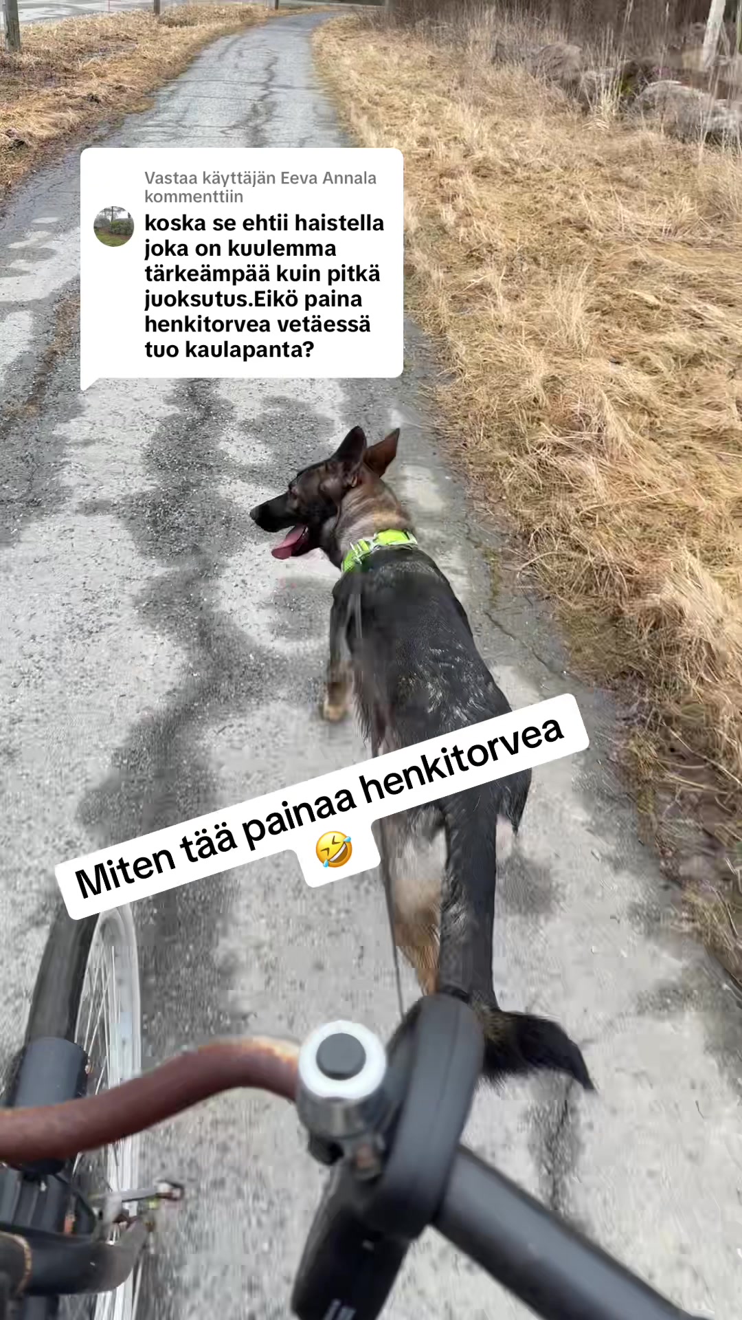 @Jankkux