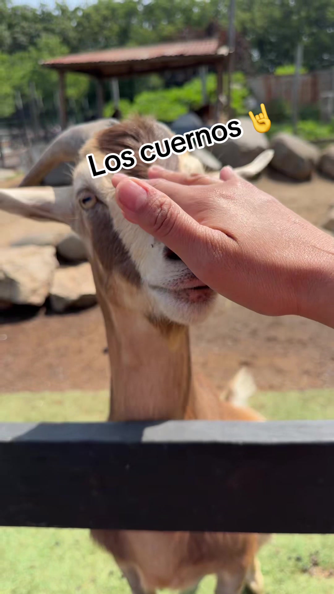 @âïžðSANDRYððŠâ€ïžðâïžðŠððŠ