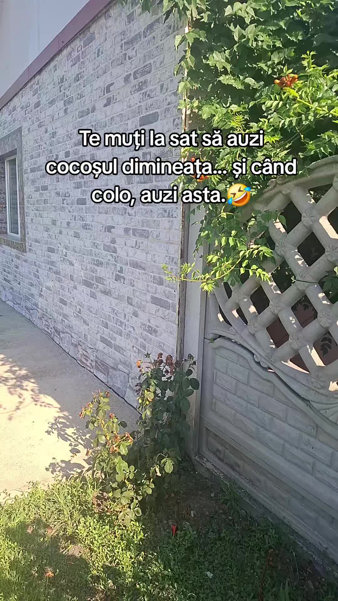 @gabiilaw