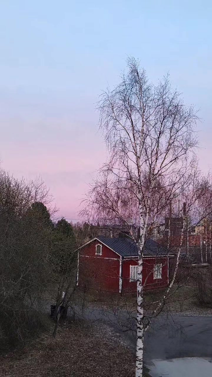 @Aurora🐼