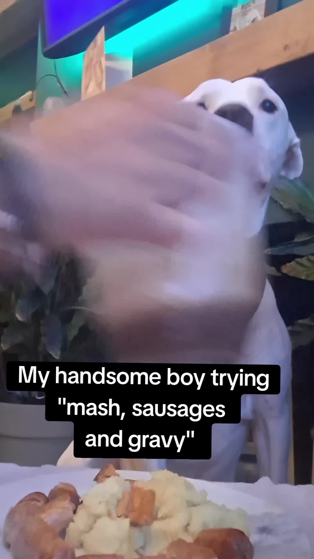 @Buddy boy and Anna