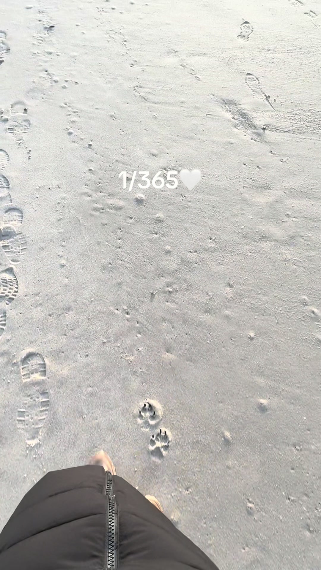 @L i s a