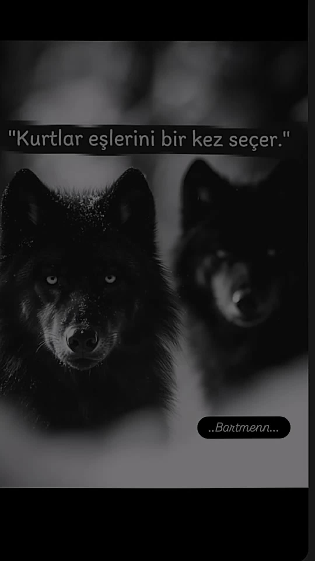 @Bartmenn