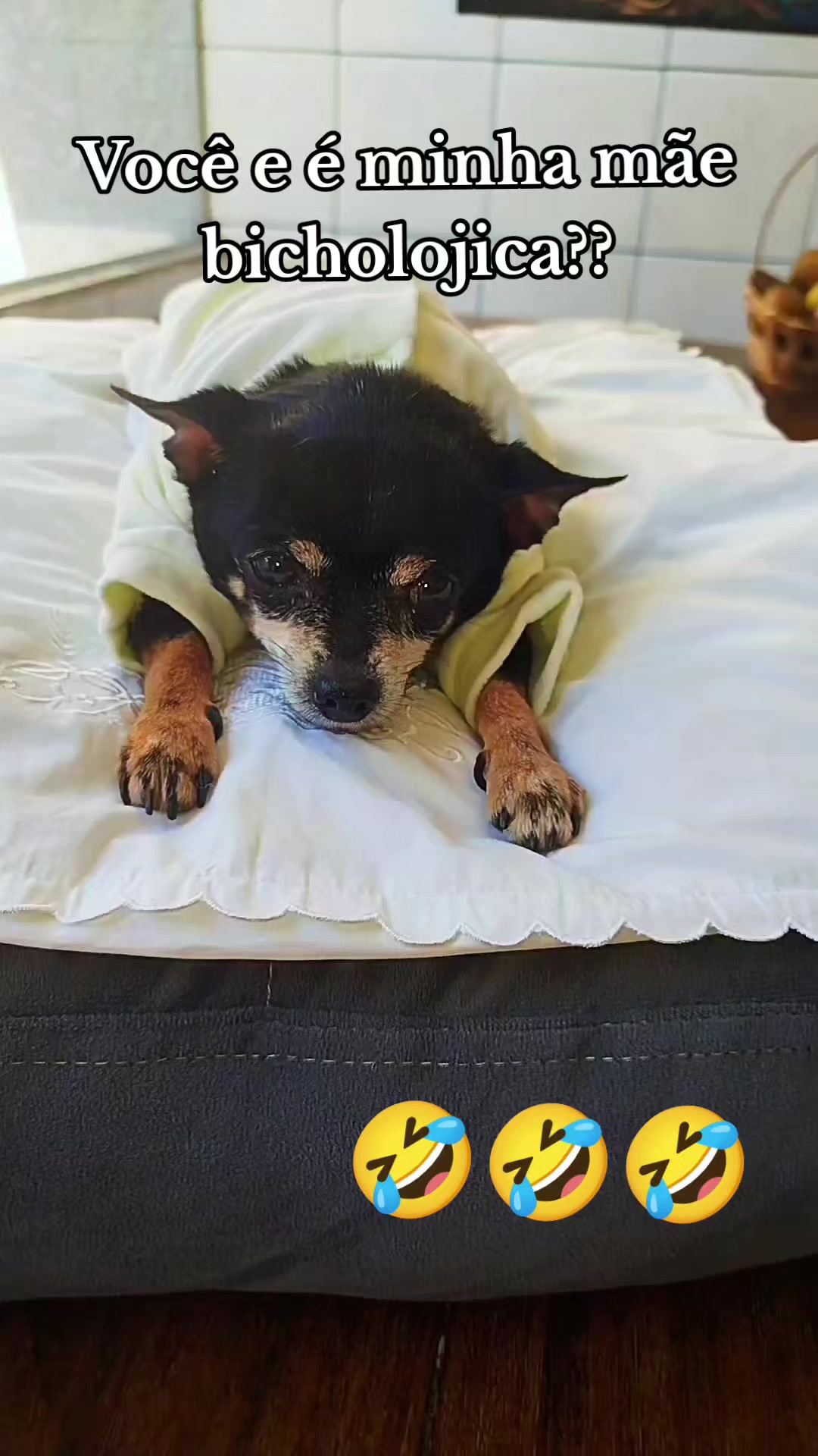 @vanetinhadotiktok