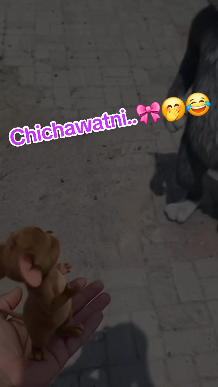 @𝐂hichawatni-Edits🙃