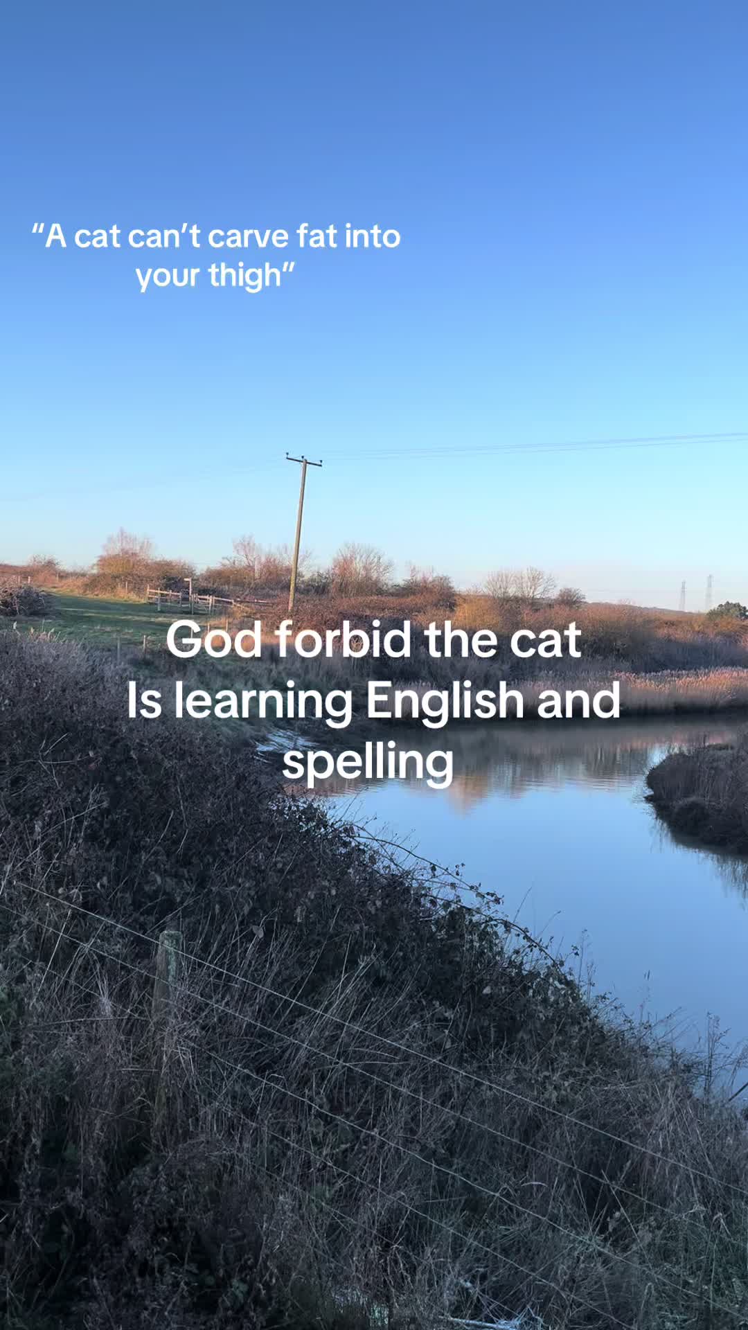 @._.