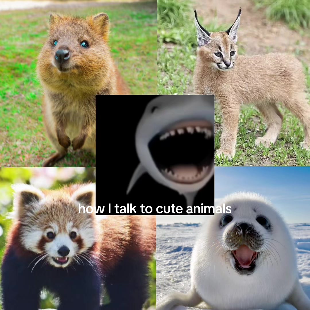 @NQVS