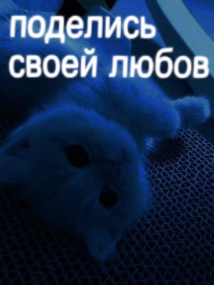 @ШАБЛОНЫ ОТ SPARTIST