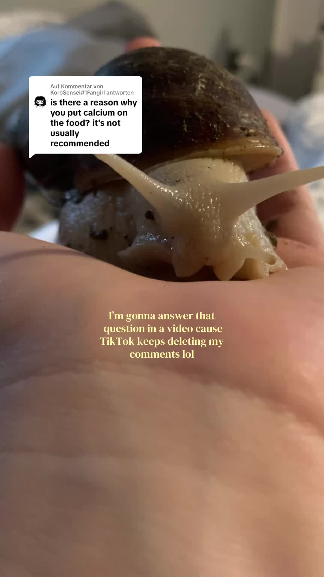 @🕷️Eliah—🐌