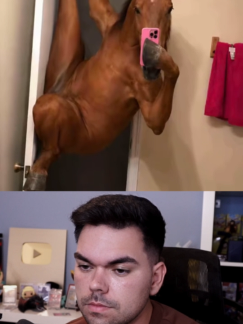 @Kreenzo