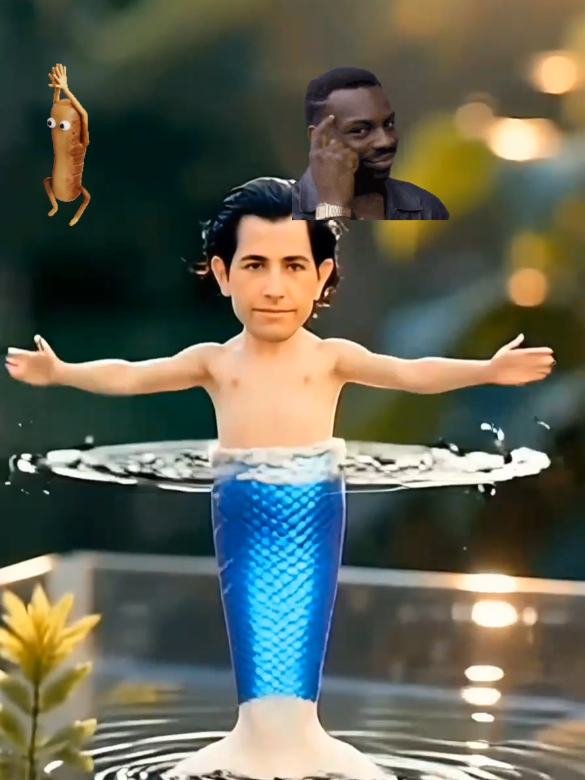 @zaraar Akbar