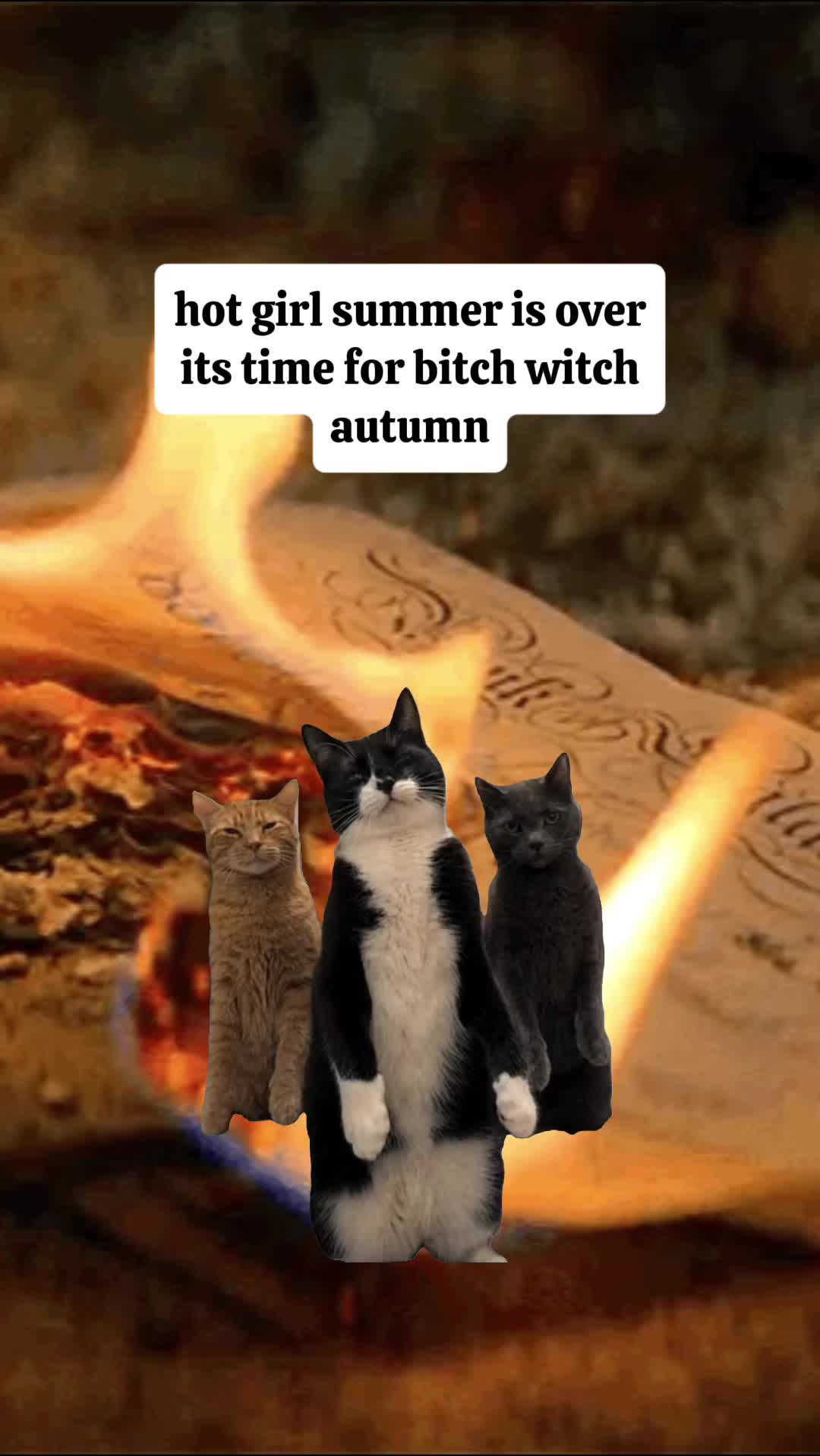 @Kasia 🪭