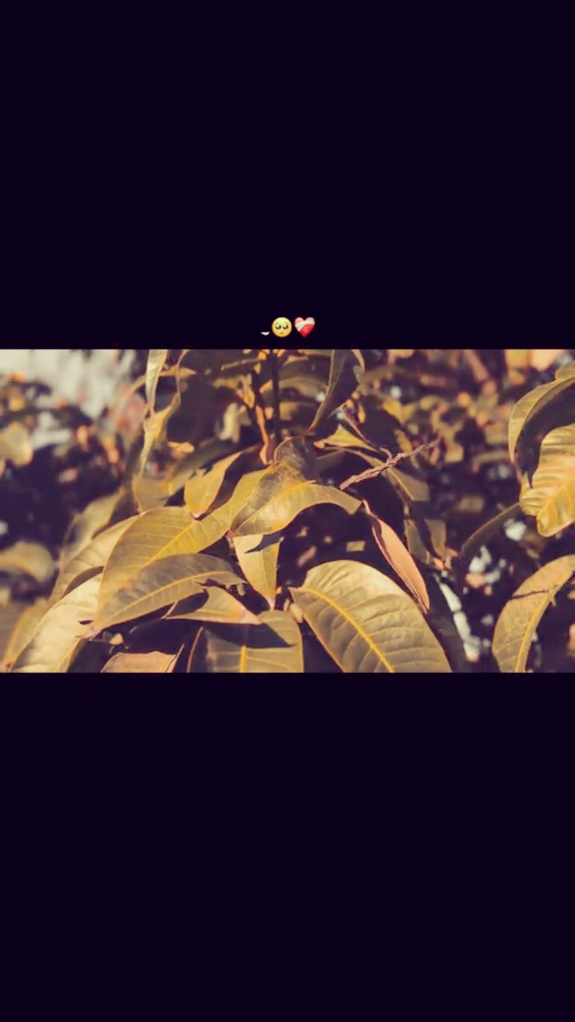 @💫𝐒𝐲𝐞𝐝 𝐊𝐚𝐌𝐢🫀