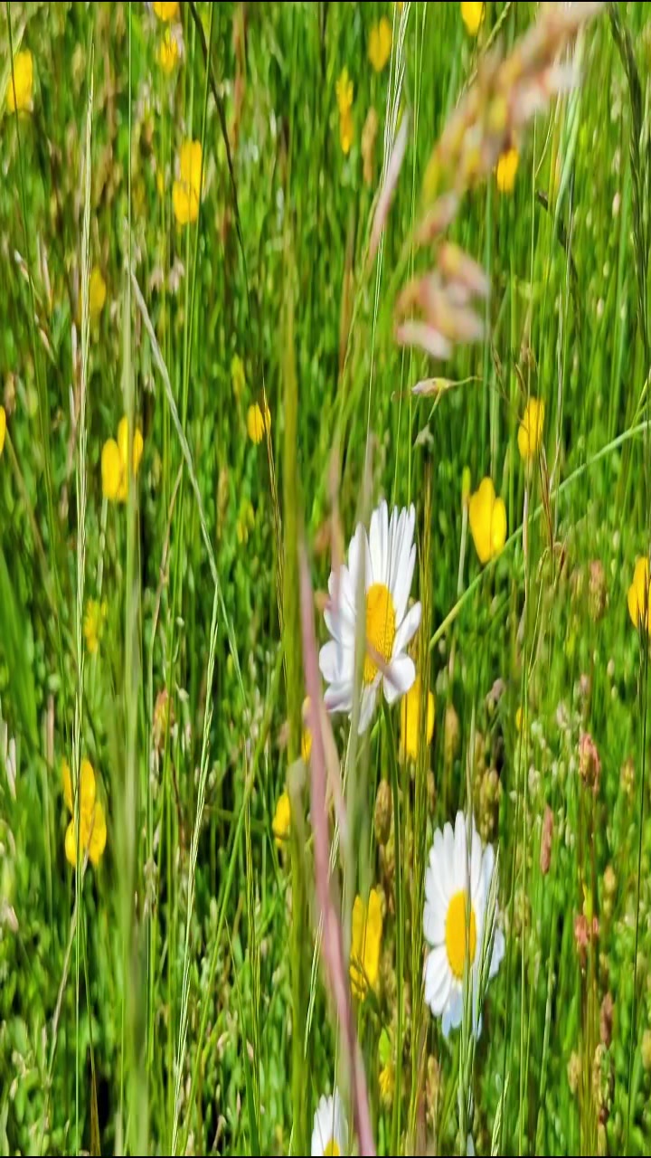 @##