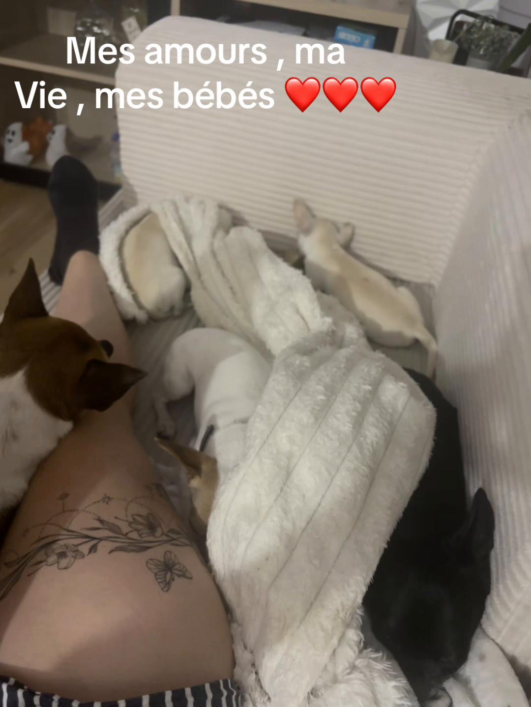 @delphine
