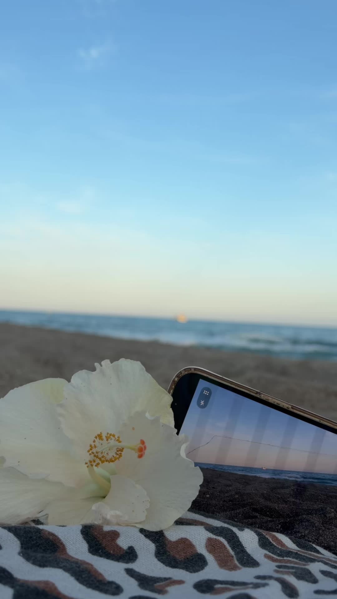 @𝒱𝑒𝓇𝒶