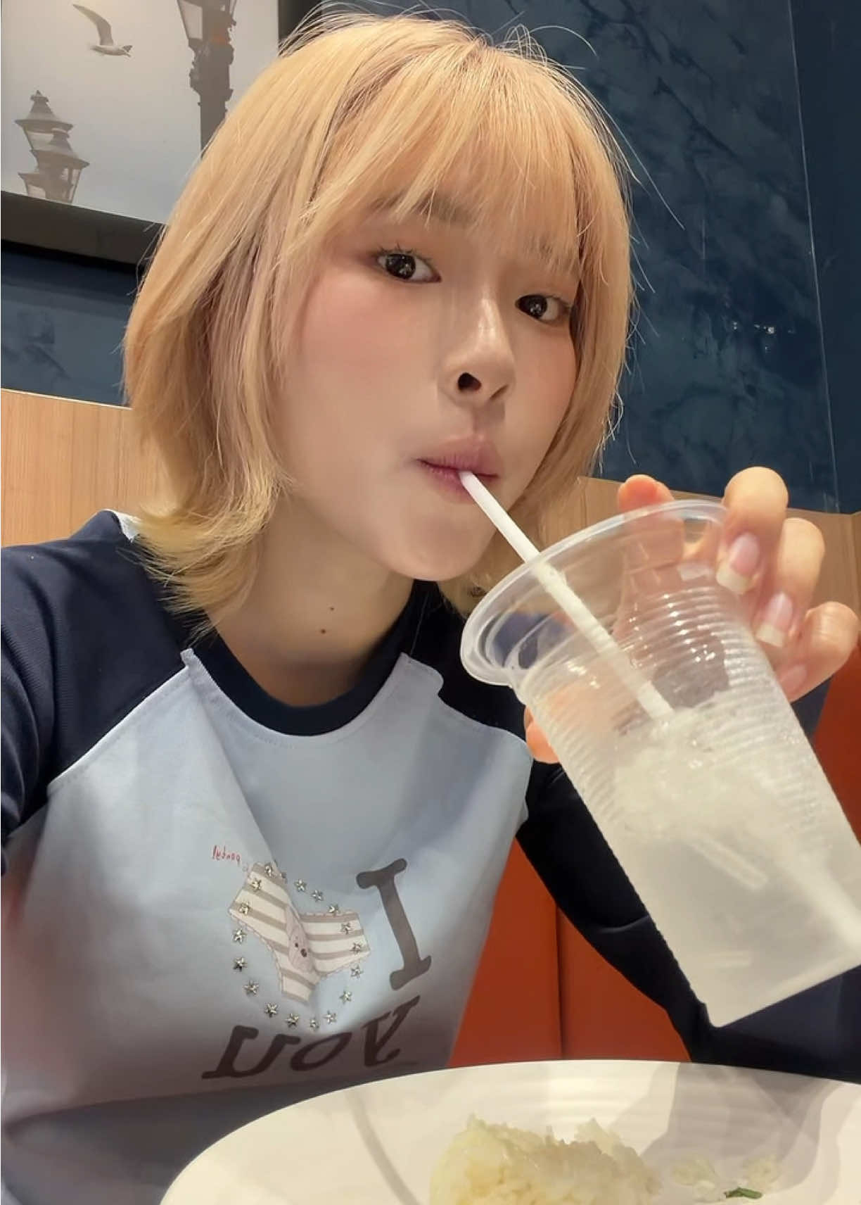 @pigwipa