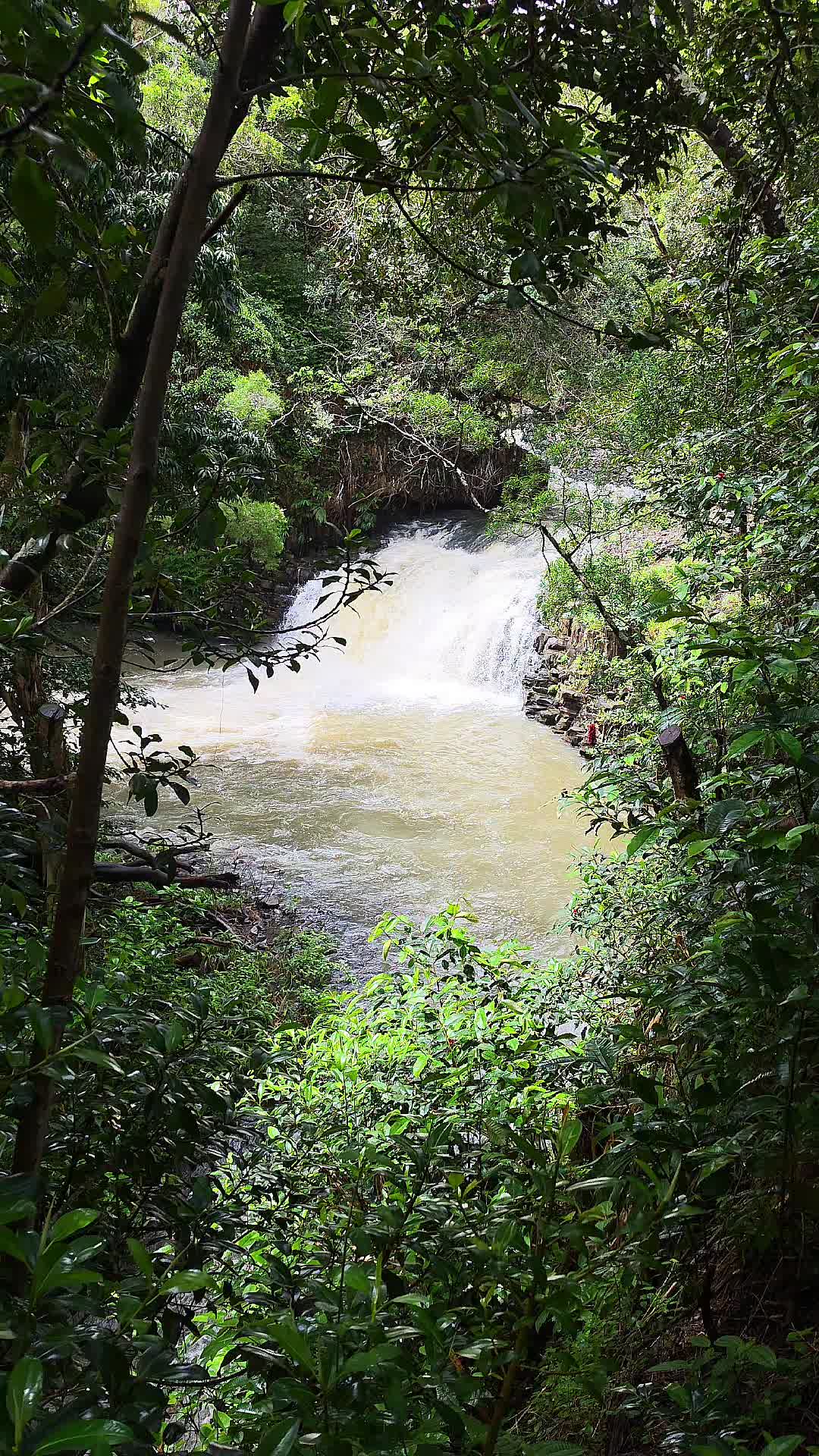 @Hike Maui