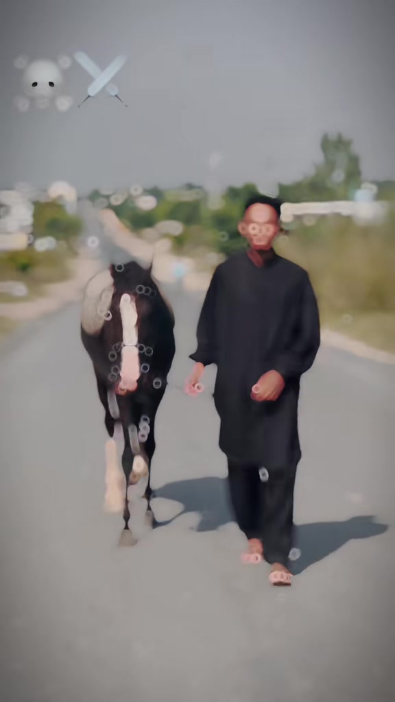 @Ch Hammad bokan ♥️🐎