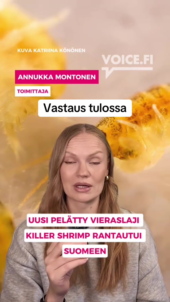 @Essu