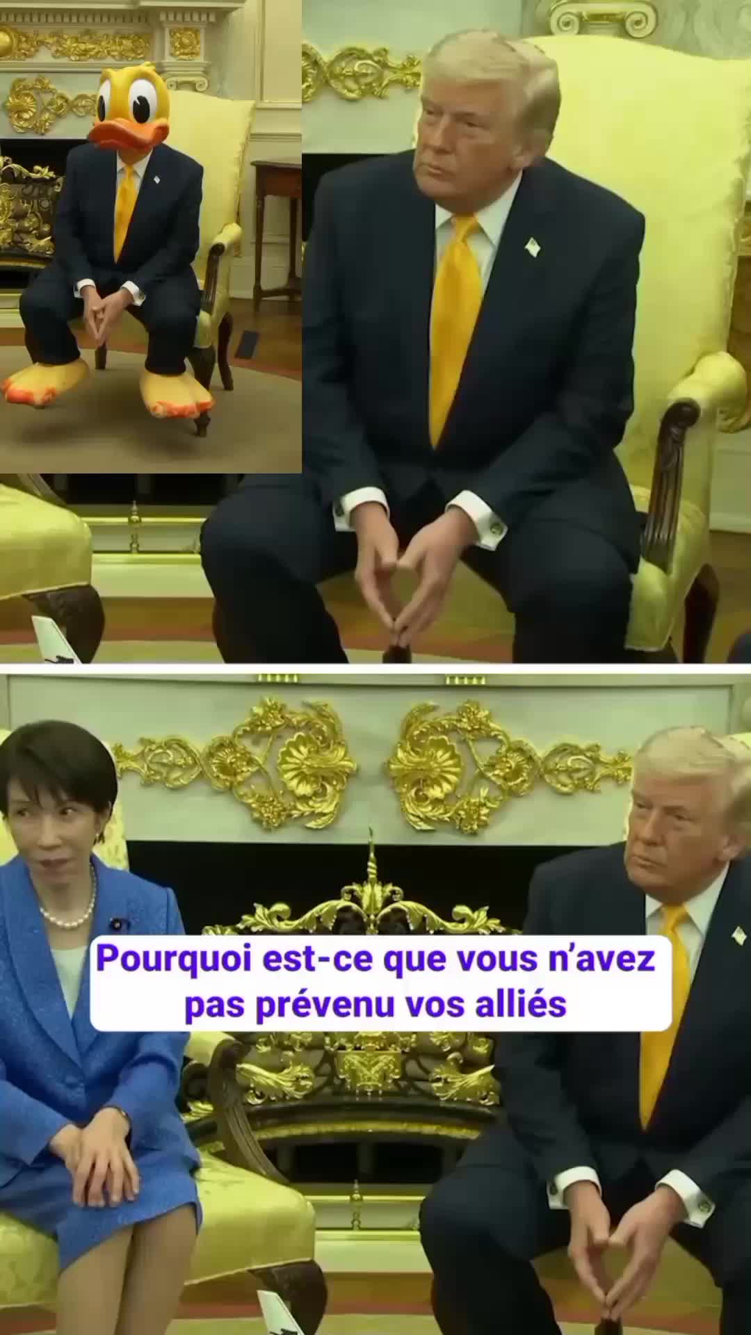 @Rebelle