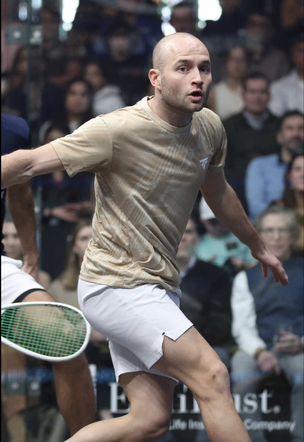 @SQUASHTV