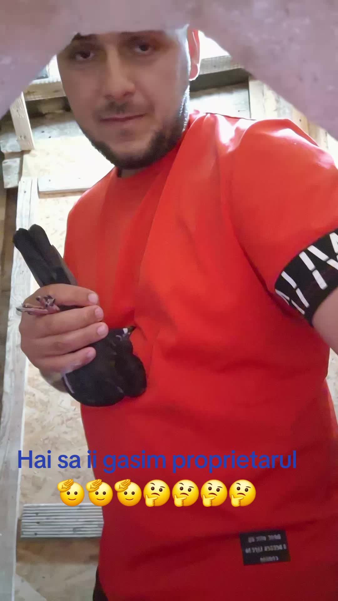@Andrei Mira