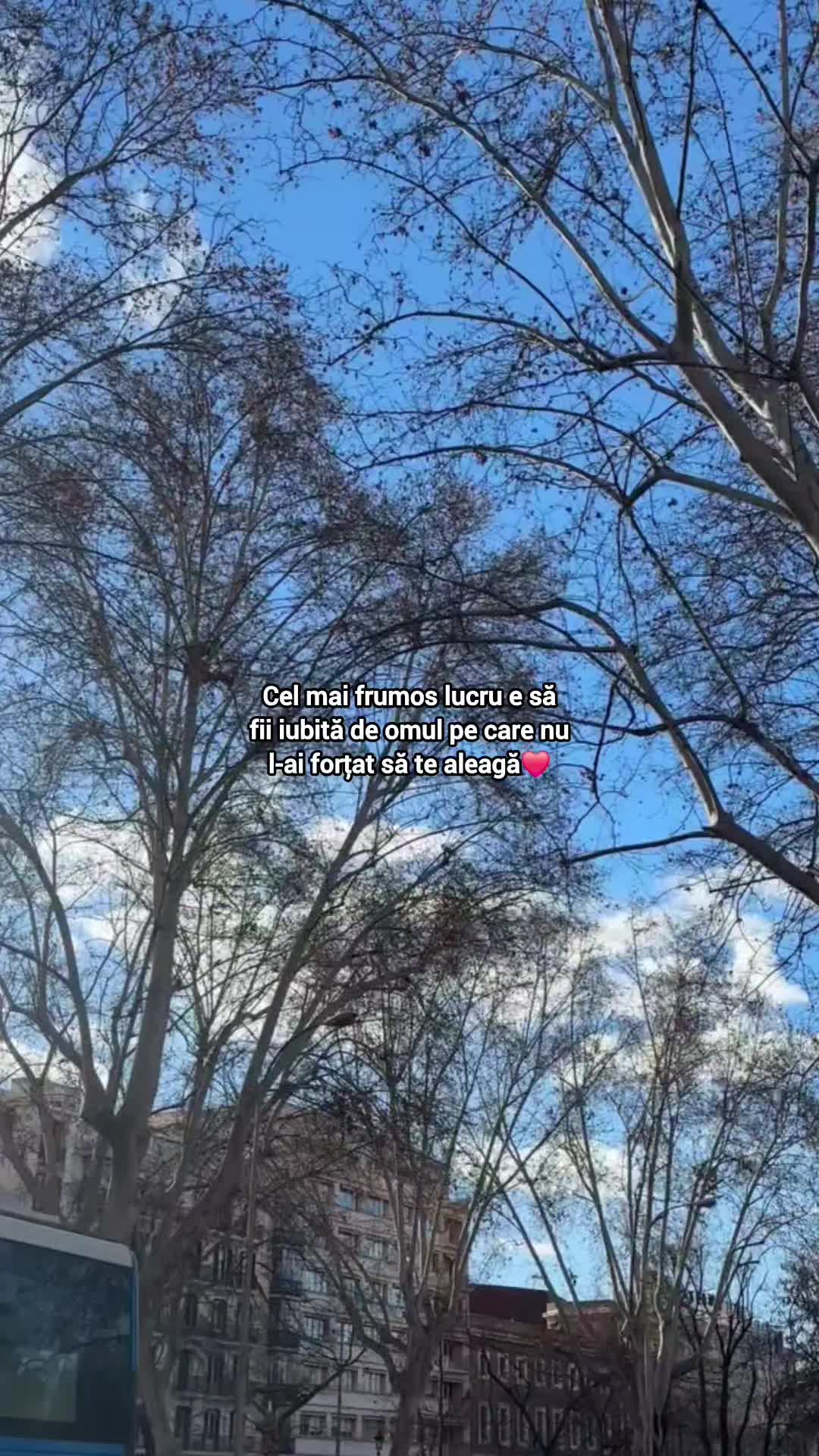 @Crișan Bogdan