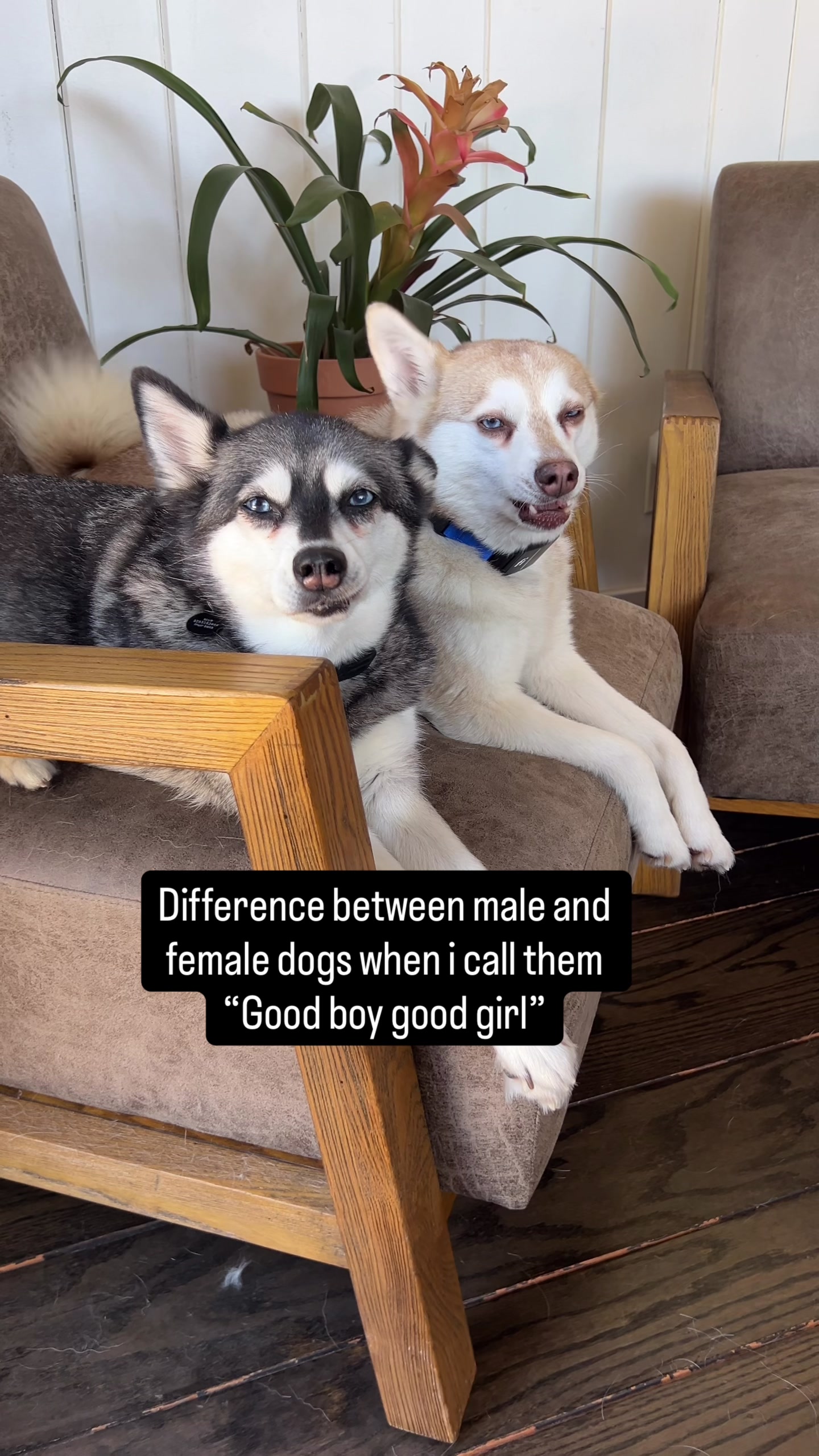 @lifewithkleekai