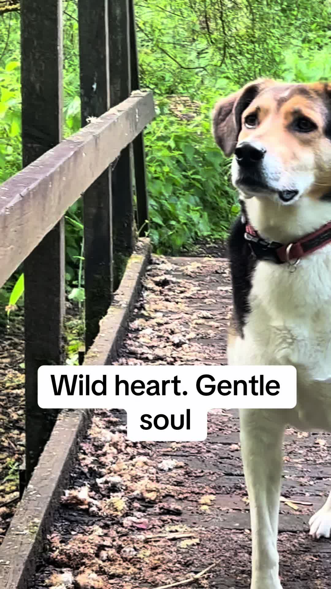 @healingheartsholistics