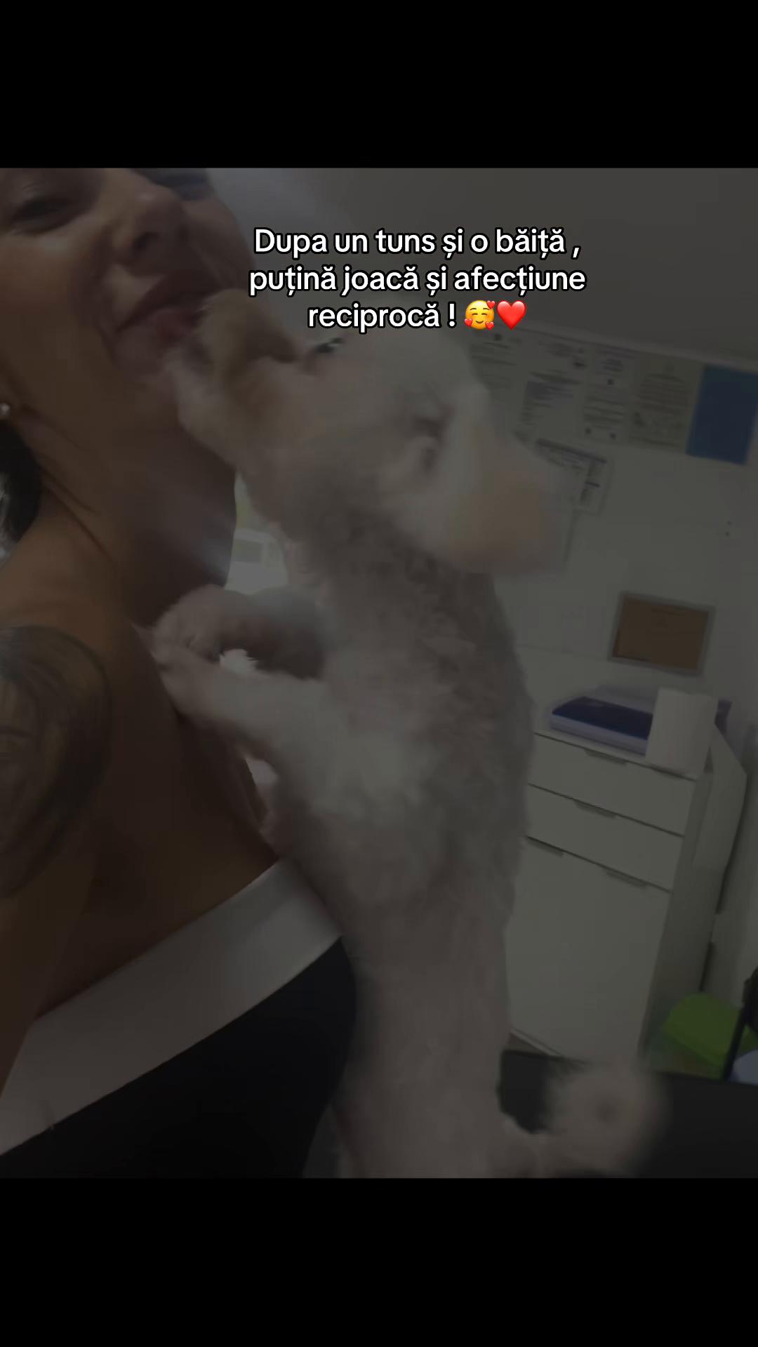 @Horia Adelina