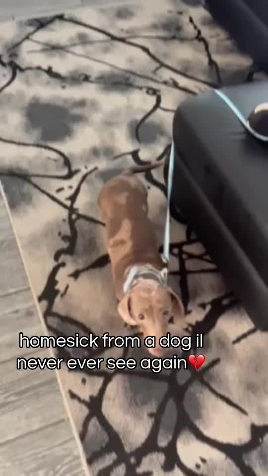 @ðžðœ