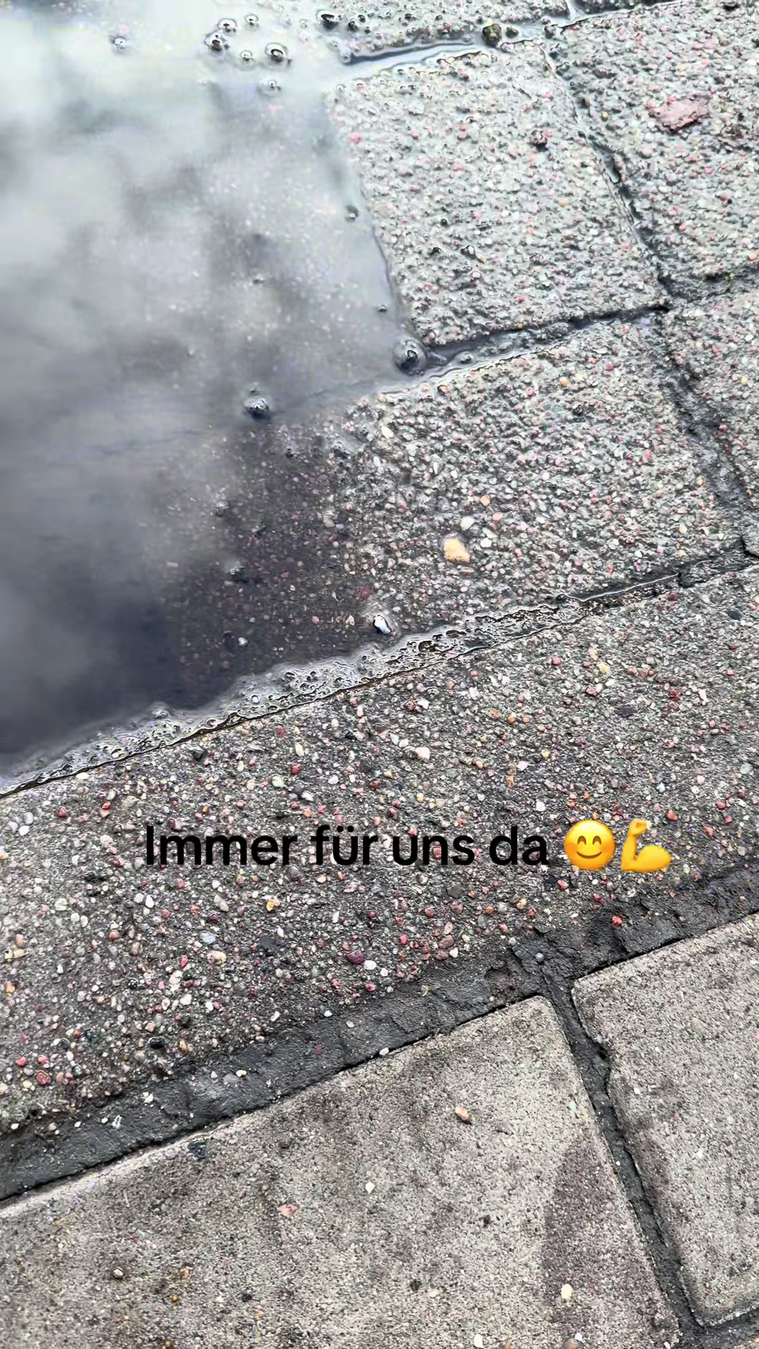 @timosblickfang