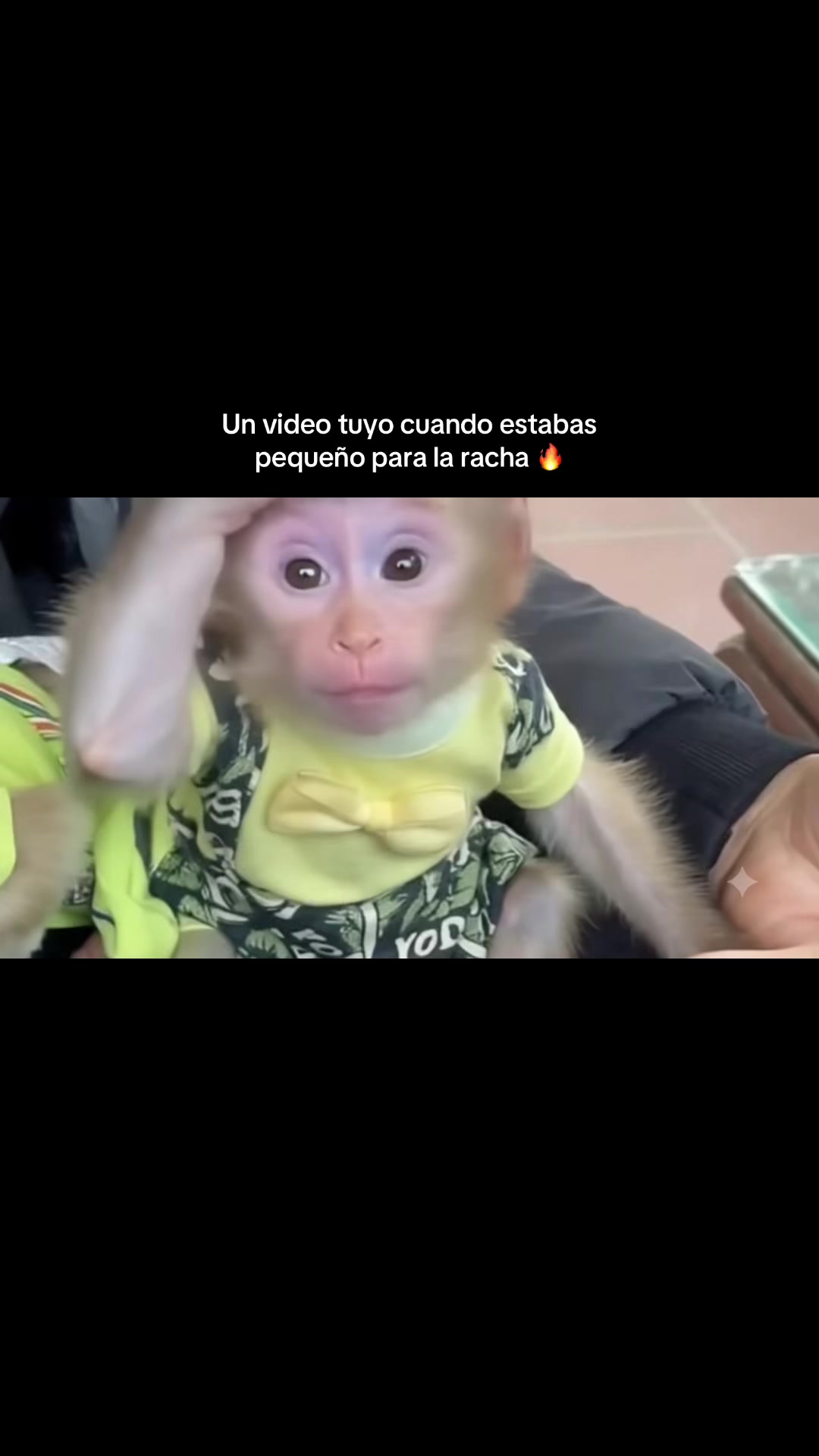 @RabPesito 🔥
