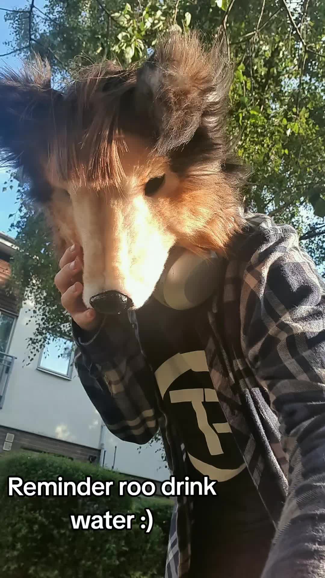 @🎸⭐☆𝐏&upsilon;&rho;&rho;у-ᖴᗩᑎG☆🦴🐾