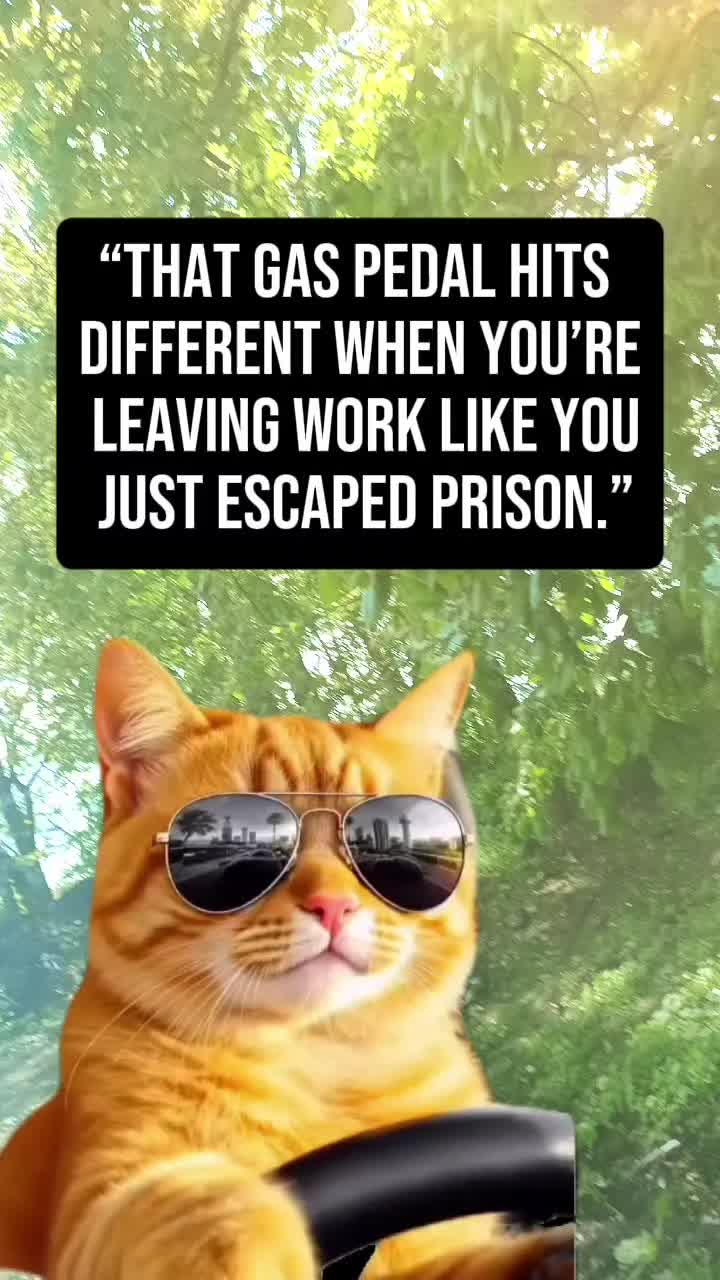 @Kenny 🫡
