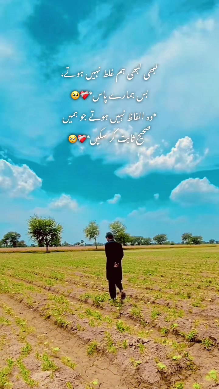 @🕊️🕷️