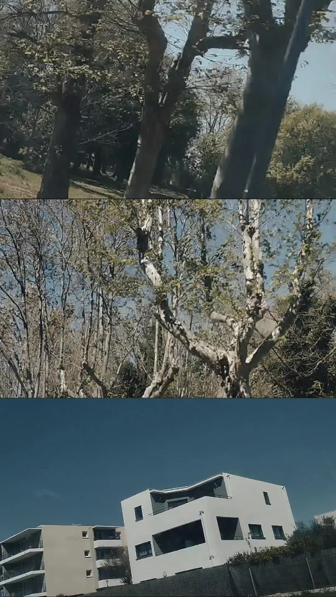 @VODOOMUSIC