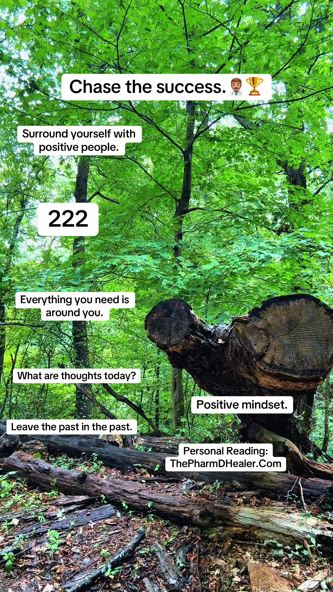 @ThePharmDHealer ®