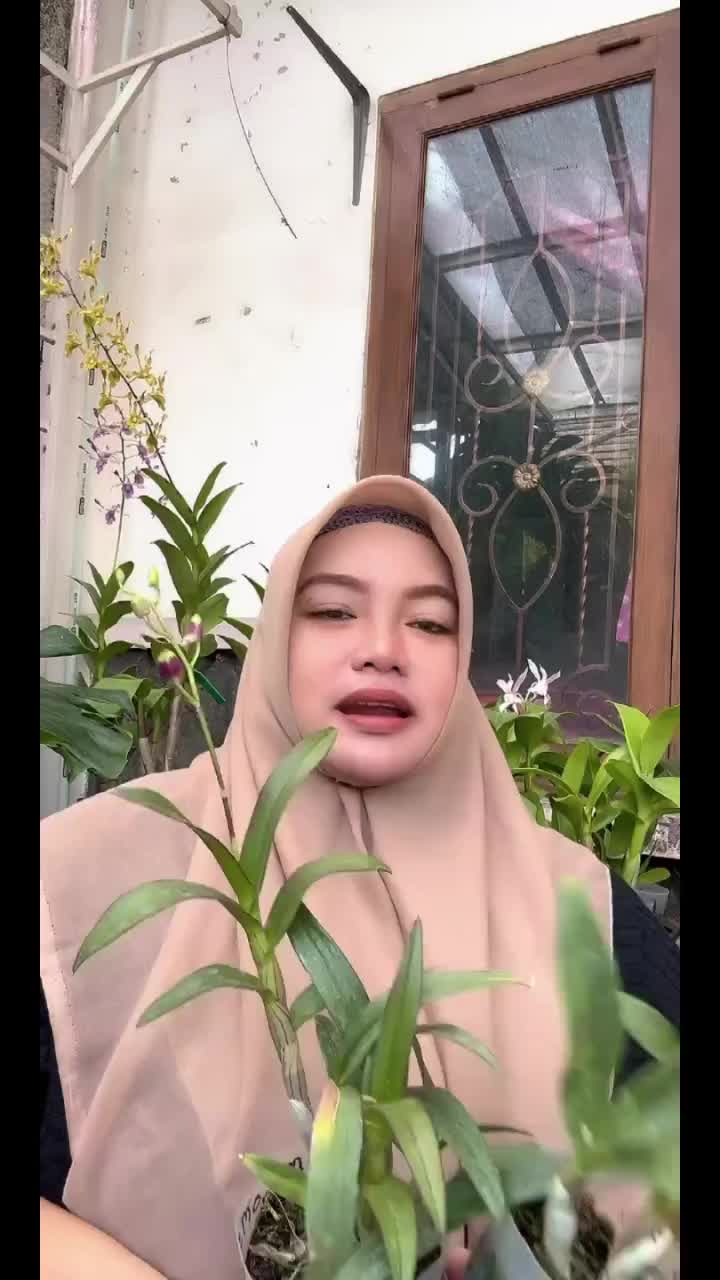 @Anggina Orchid