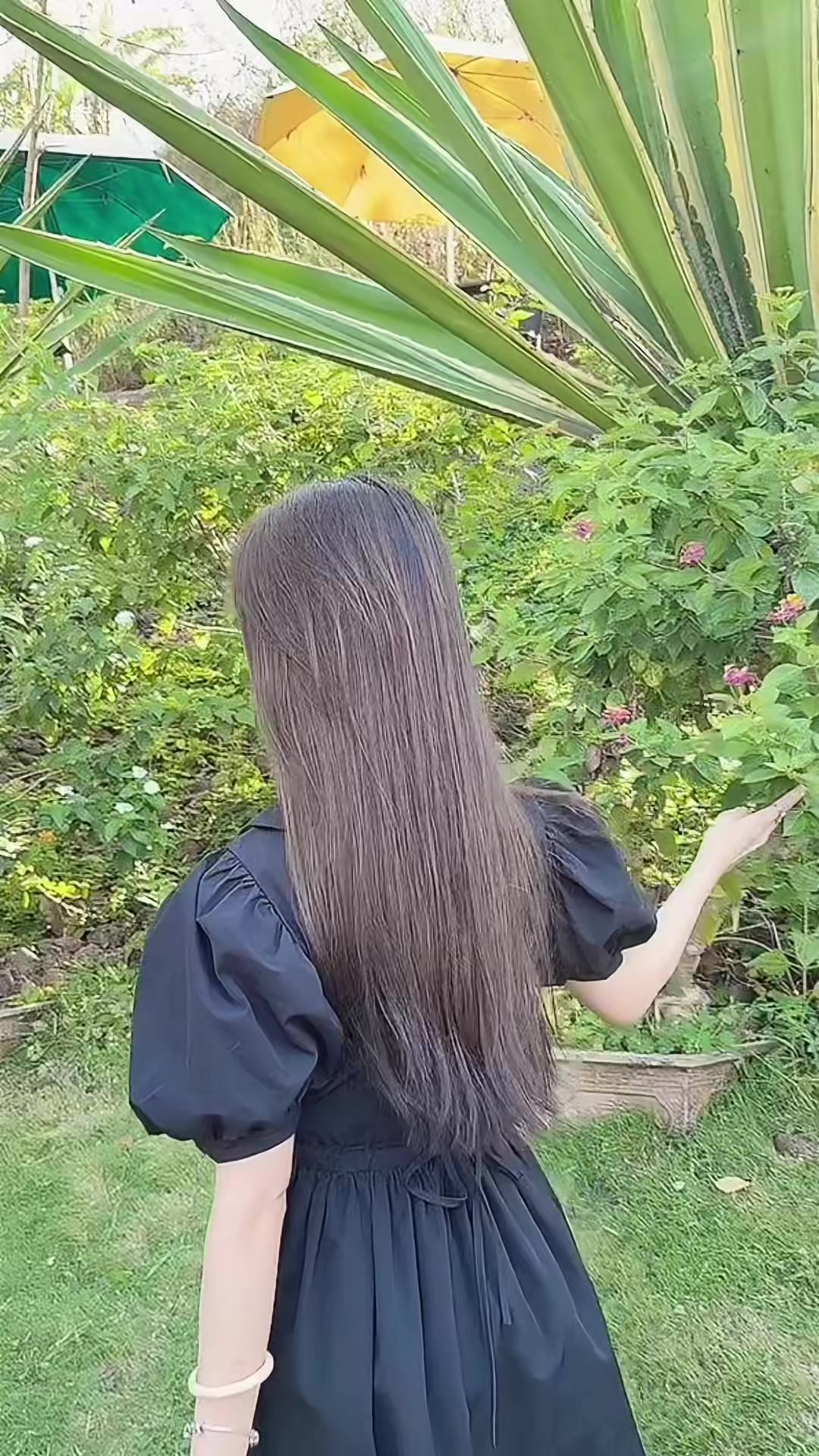 @B&ocirc;ng Vi