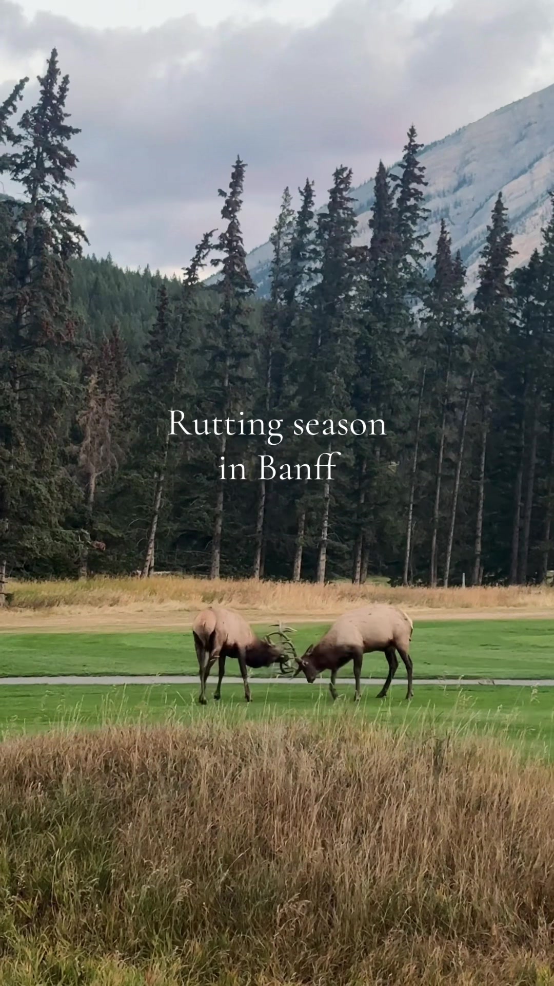 @DandRwanders