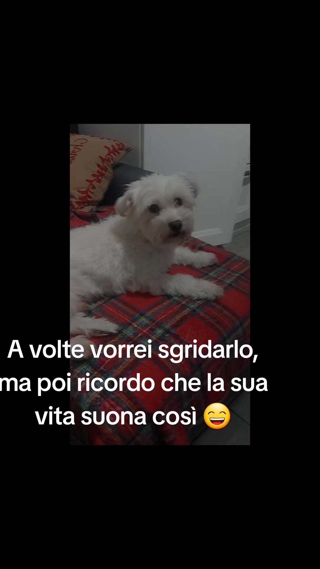 @la famiglia di Francy